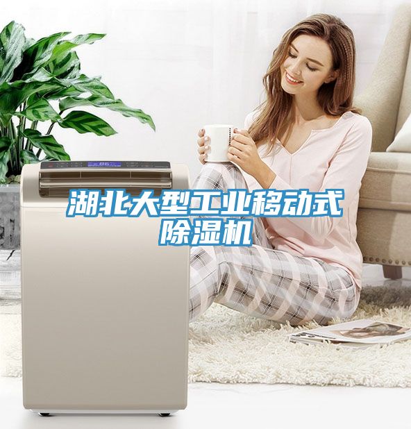 湖北大型工業移動式91看片网站