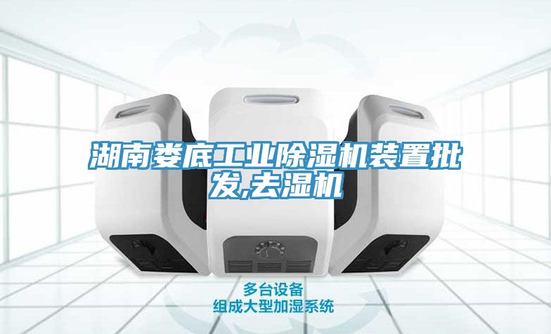 湖南婁底工業91看片网站裝置批發,去濕機