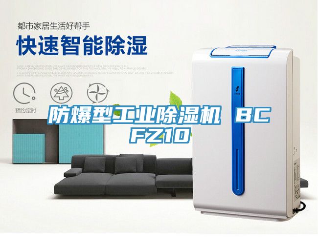 防爆型工業91看片网站 BCFZ10