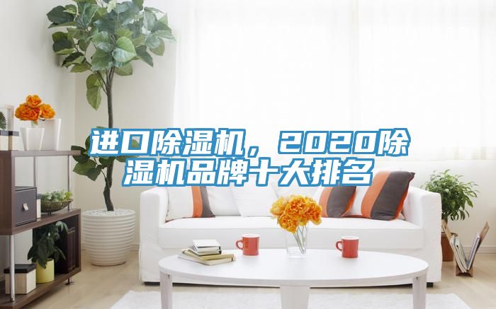 進口91看片网站，202091看片网站品牌十大排名