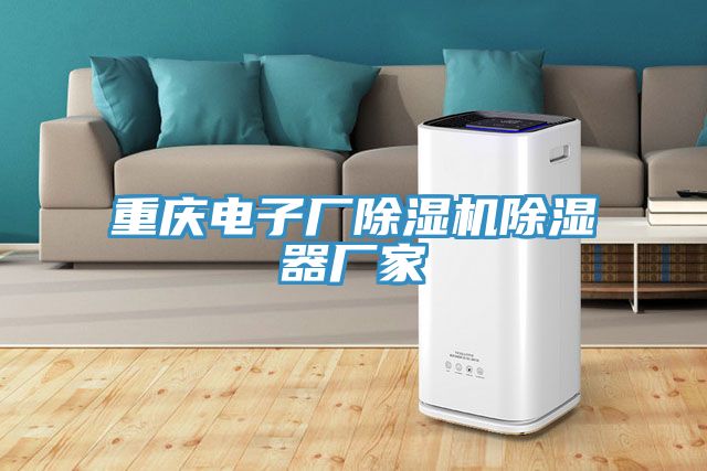 重慶電子廠91看片网站除濕器廠家