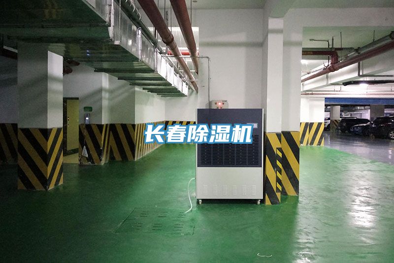 長春91看片网站