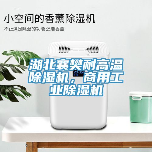 湖北襄樊耐高溫91看片网站，商用工業91看片网站