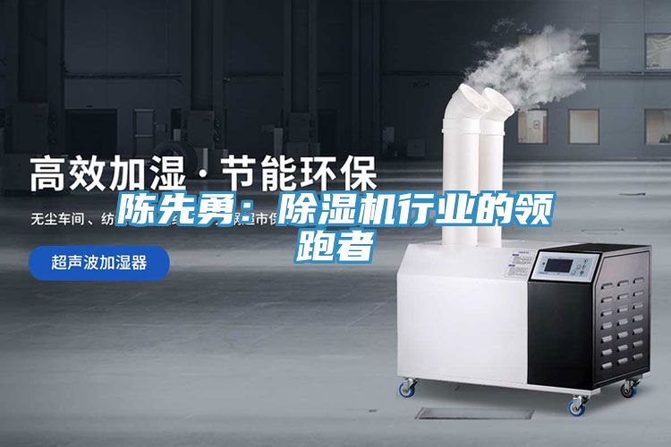 陳先勇：91看片网站行業的領跑者