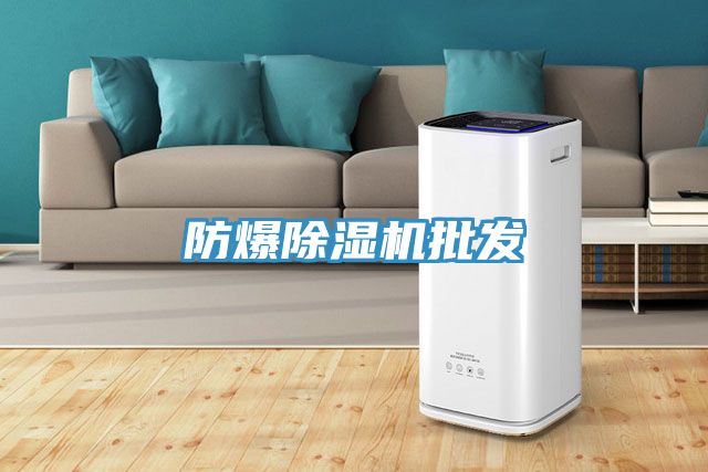 防爆91看片网站批發