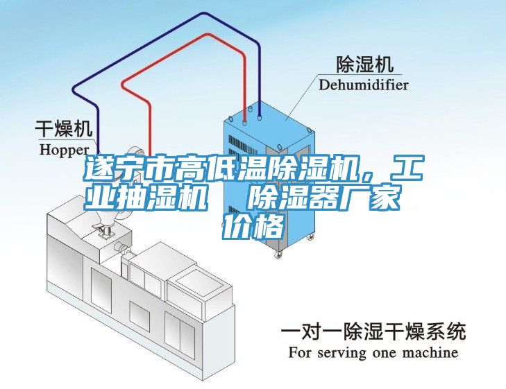 遂寧市高低溫91看片网站，工業抽濕機  除濕器廠家 價格