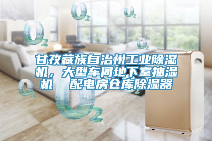 甘孜藏族自治州工業91看片网站，大型車間地下室抽濕機  配電房倉庫除濕器