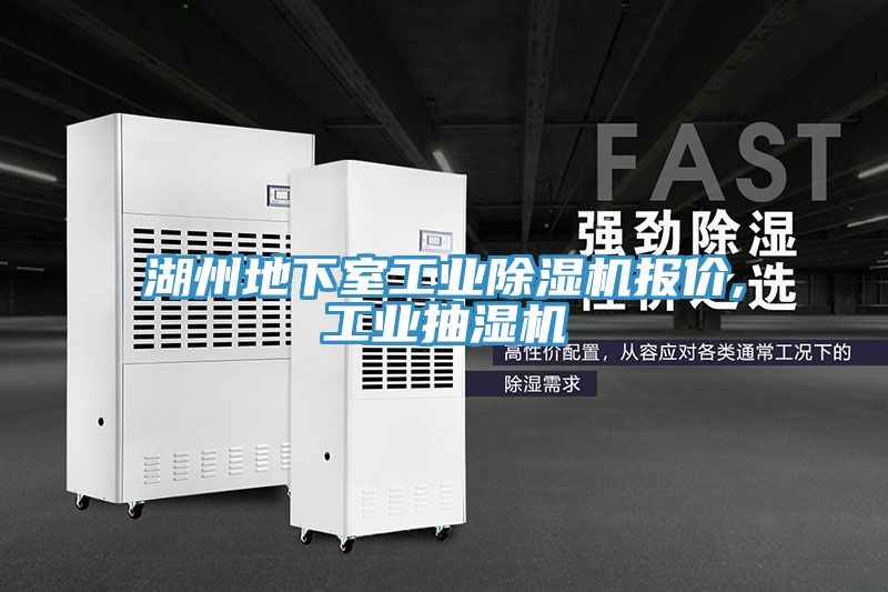湖州地下室工業91看片网站報價,工業抽濕機