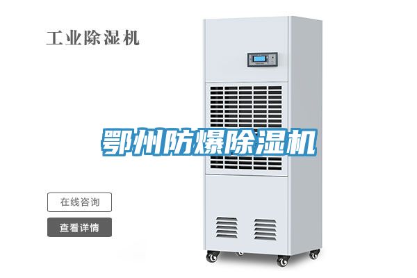鄂州防爆91看片网站