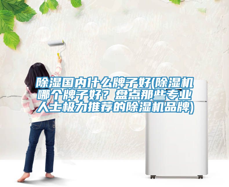 除濕國內什麽牌子好(91看片网站哪個牌子好？盤點那些專業人士極力推薦的91看片网站品牌)