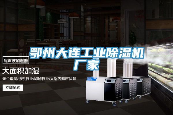 鄂州大連工業91看片网站廠家