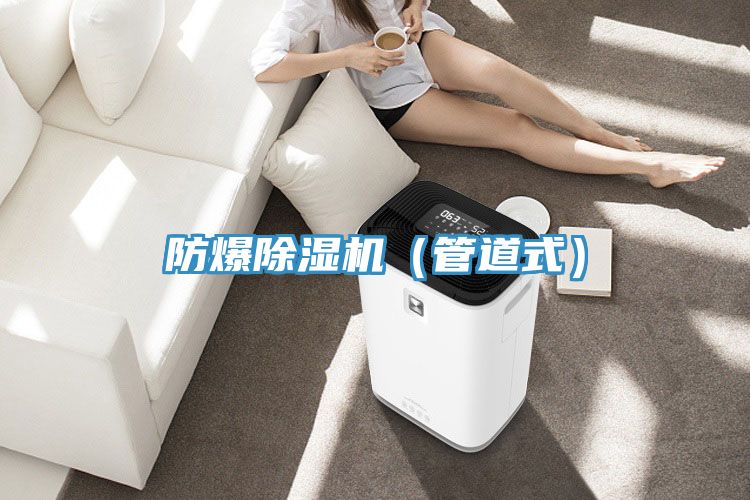 防爆91看片网站（管道式）