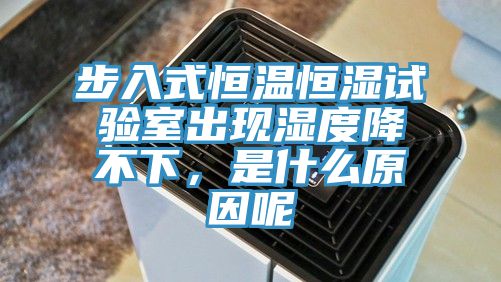 步入式恒溫恒濕試驗室出現濕度降不下，是什麽原因呢
