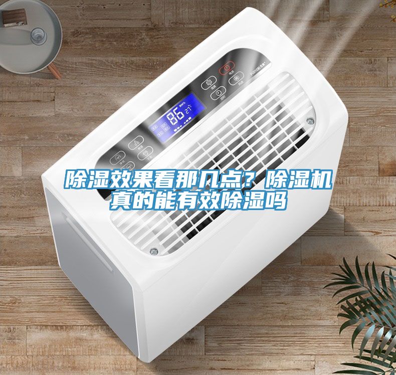 除濕效果看那幾點？91看片网站真的能有效除濕嗎