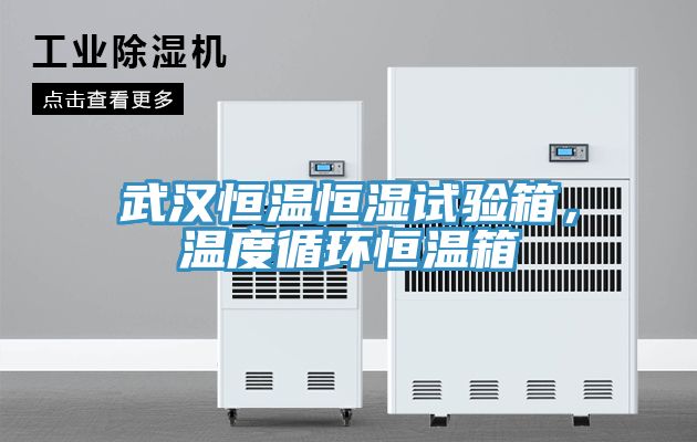 武漢恒溫恒濕試驗箱，溫度循環恒溫箱