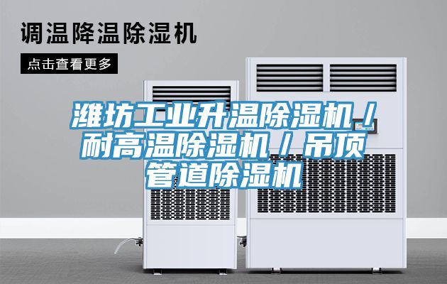 濰坊工業升溫91看片网站／耐高溫91看片网站／吊頂管道91看片网站