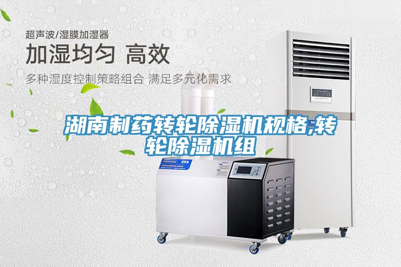 湖南製藥轉輪91看片网站規格,轉輪91看片网站組