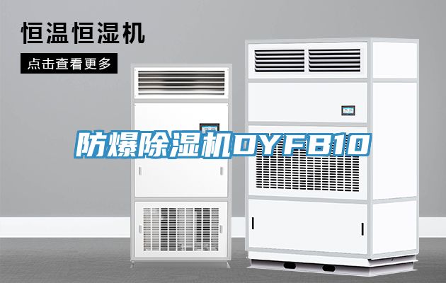 防爆91看片网站DYFB10