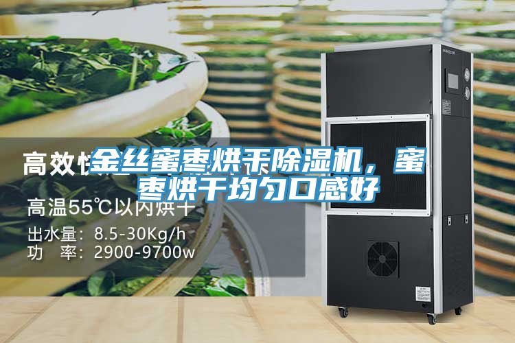 金絲蜜棗烘幹91看片网站，蜜棗烘幹均勻口感好
