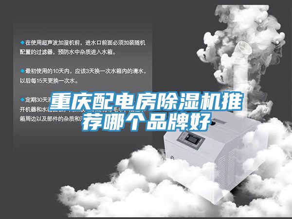 重慶配電房91看片网站推薦哪個品牌好