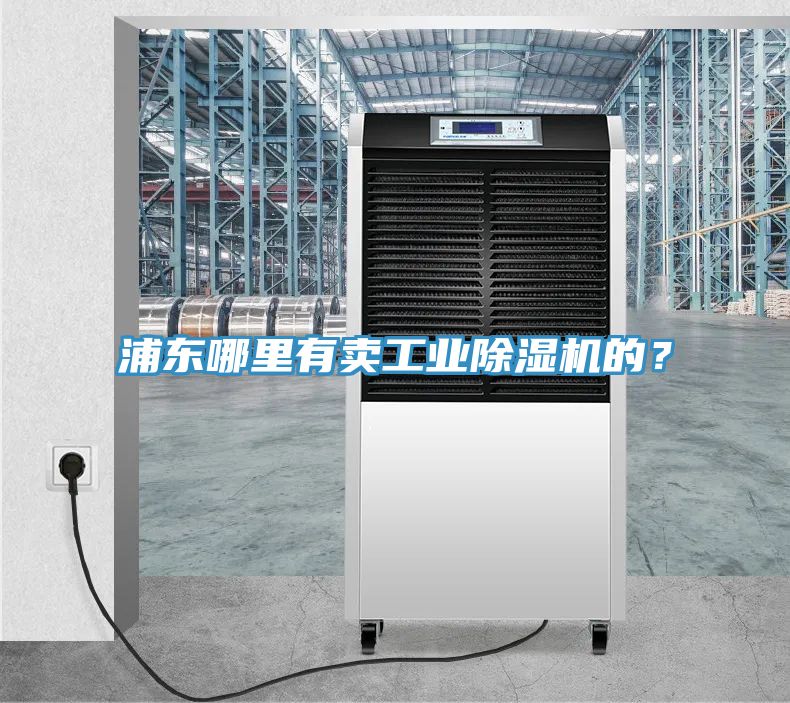 浦東哪裏有賣工業91看片网站的？