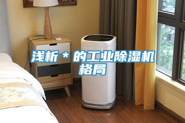 淺析＊的工業91看片网站格局