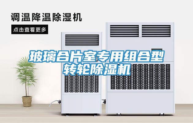 玻璃合片室專用組合型轉輪91看片网站