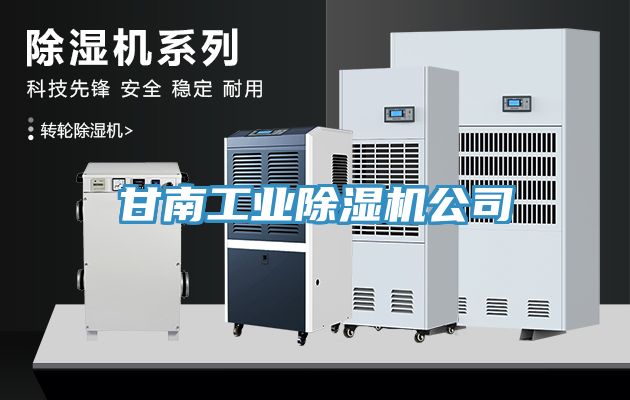 甘南工業91看片网站公司