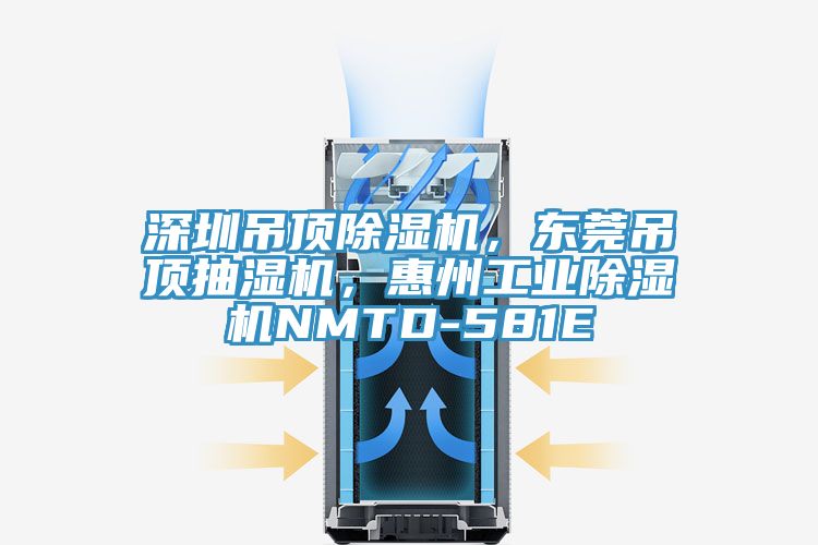 深圳吊頂91看片网站，東莞吊頂抽濕機，惠州工業91看片网站NMTD-581E