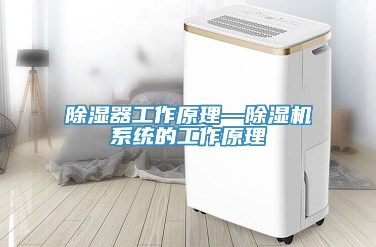 除濕器工作原理—91看片网站係統的工作原理