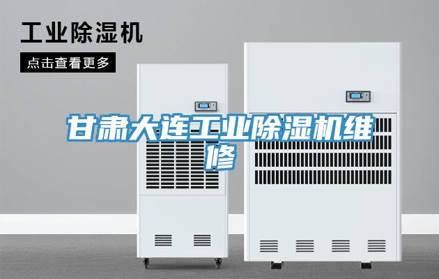甘肅大連工業91看片网站維修