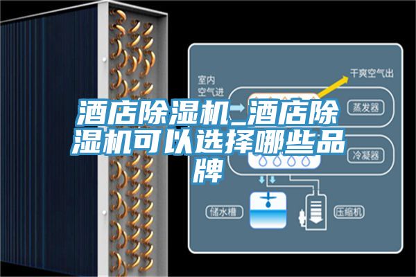 酒店91看片网站_酒店91看片网站可以選擇哪些品牌