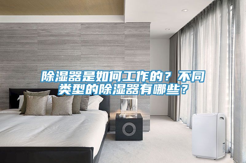 除濕器是如何工作的？不同類型的除濕器有哪些？