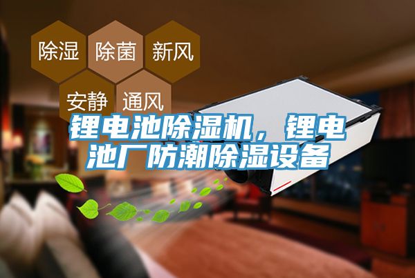 鋰電池91看片网站，鋰電池廠防潮除濕設備