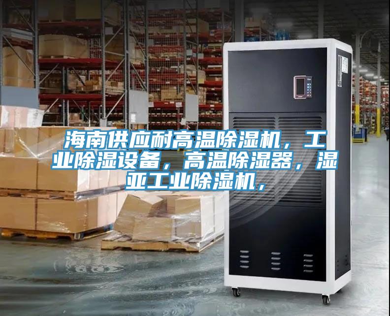 海南供應耐高溫91看片网站，工業除濕設備，高溫除濕器，濕亞工業91看片网站，