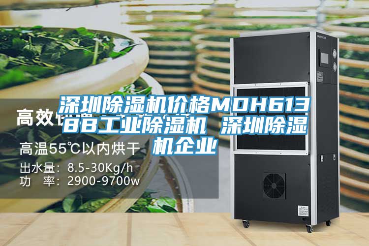 深圳91看片网站價格MDH6138B工業91看片网站 深圳91看片网站企業