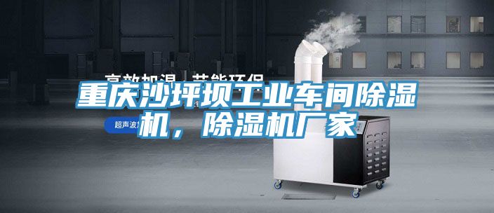 重慶沙坪壩工業車間91看片网站，91看片网站廠家