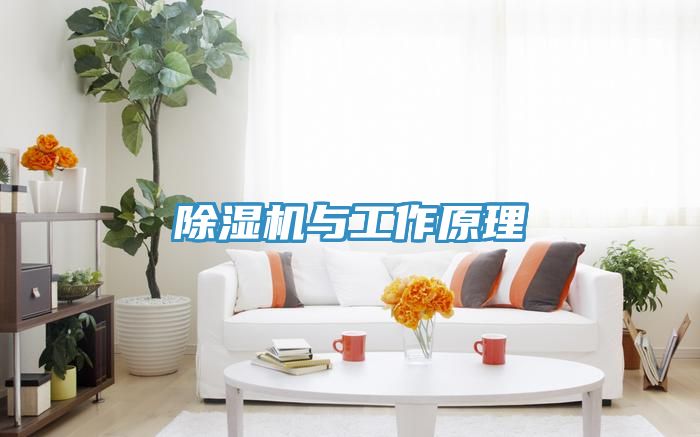 91看片网站與工作原理