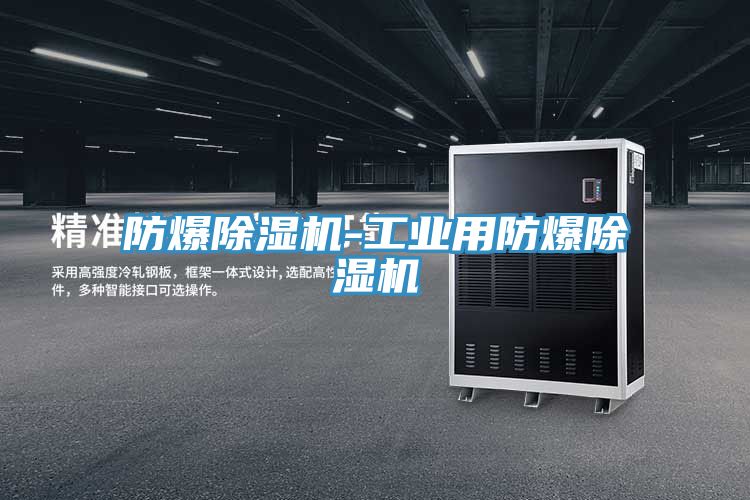 防爆91看片网站-工業用防爆91看片网站