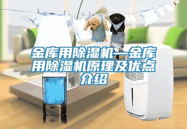 金庫用91看片网站—金庫用91看片网站原理及優點介紹