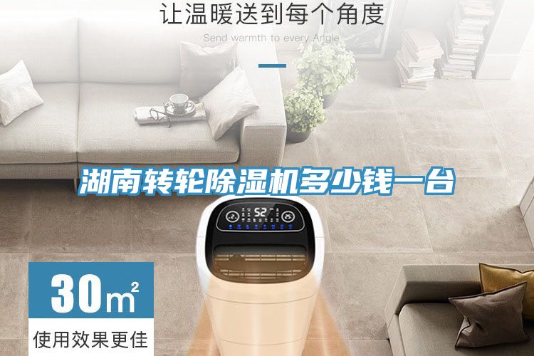 湖南轉輪91看片网站多少錢一台
