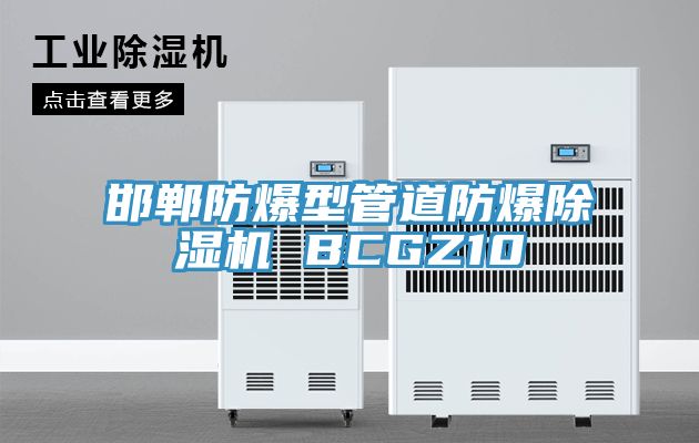邯鄲防爆型管道防爆91看片网站 BCGZ10