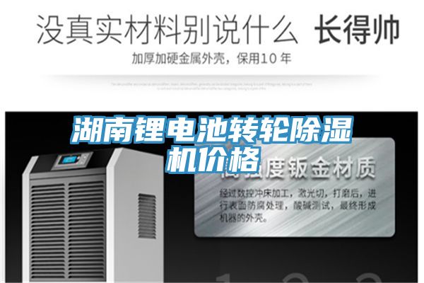 湖南鋰電池轉輪91看片网站價格