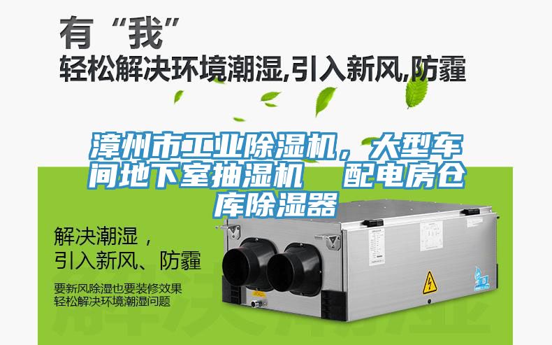 漳州市工業91看片网站，大型車間地下室抽濕機  配電房倉庫除濕器
