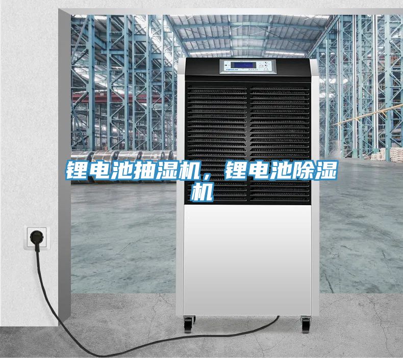 鋰電池抽濕機，鋰電池91看片网站