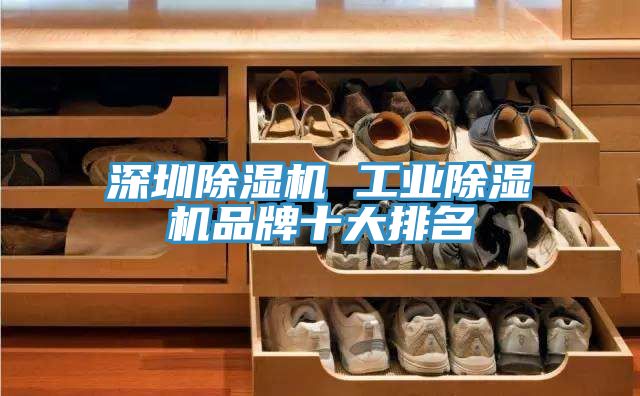 深圳91看片网站 工業91看片网站品牌十大排名