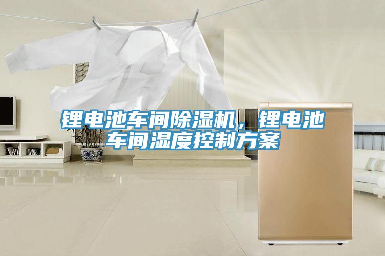 鋰電池車間91看片网站，鋰電池車間濕度控製方案