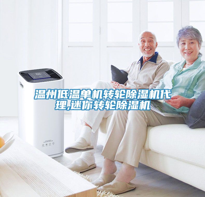 溫州低溫單機轉輪91看片网站代理,迷你轉輪91看片网站