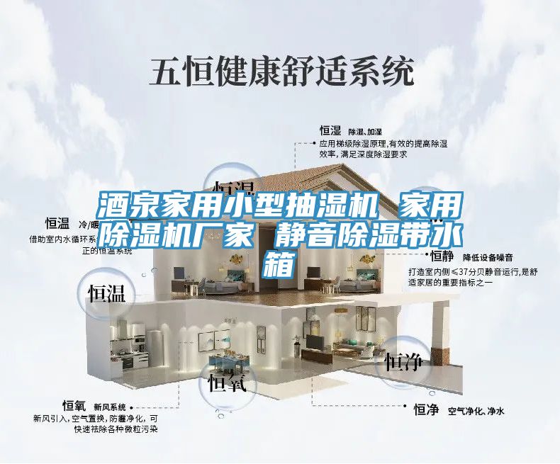 酒泉家用小型抽濕機 家用91看片网站廠家 靜音除濕帶水箱