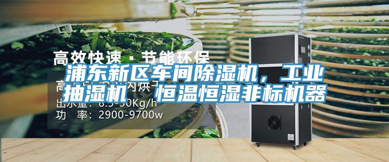 浦東新區車間91看片网站，工業抽濕機  恒溫恒濕非標機器